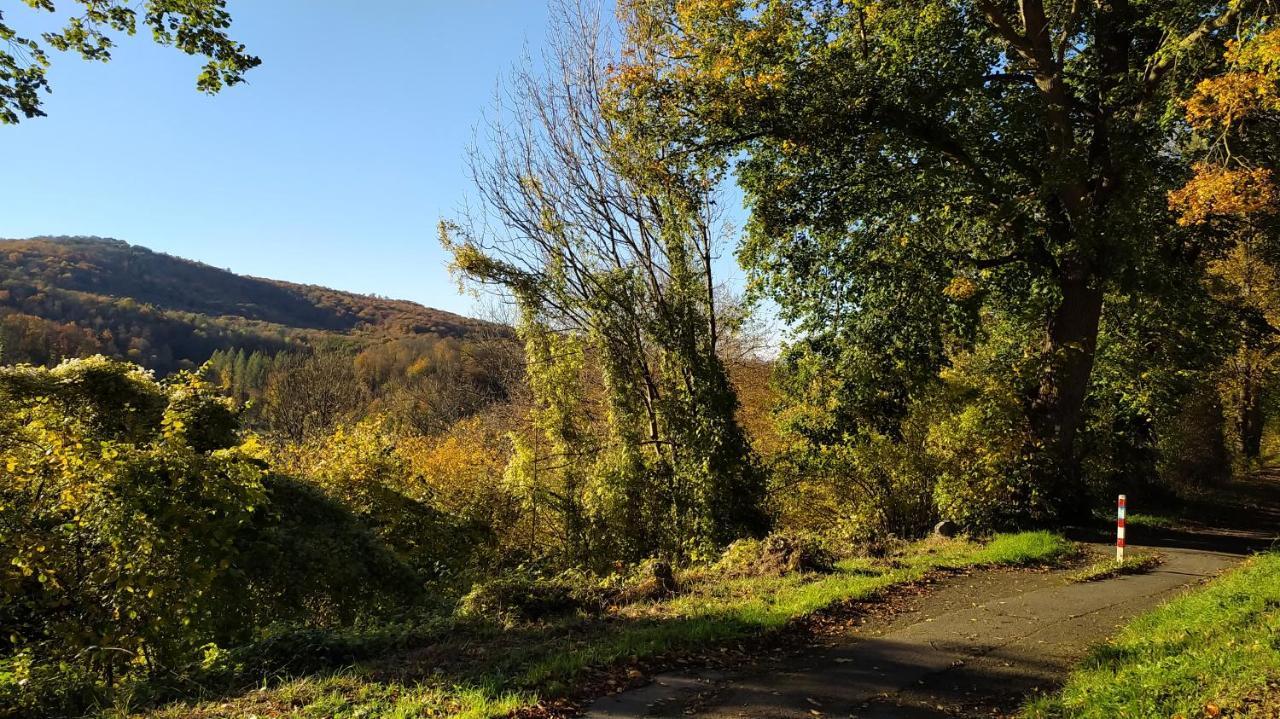 Panoramahaus Sauerland Appartement Arnsberg Buitenkant foto